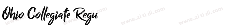 Ohio Collegiate Regu字体转换